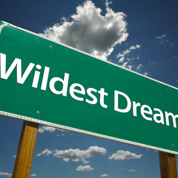 Wildest Dream